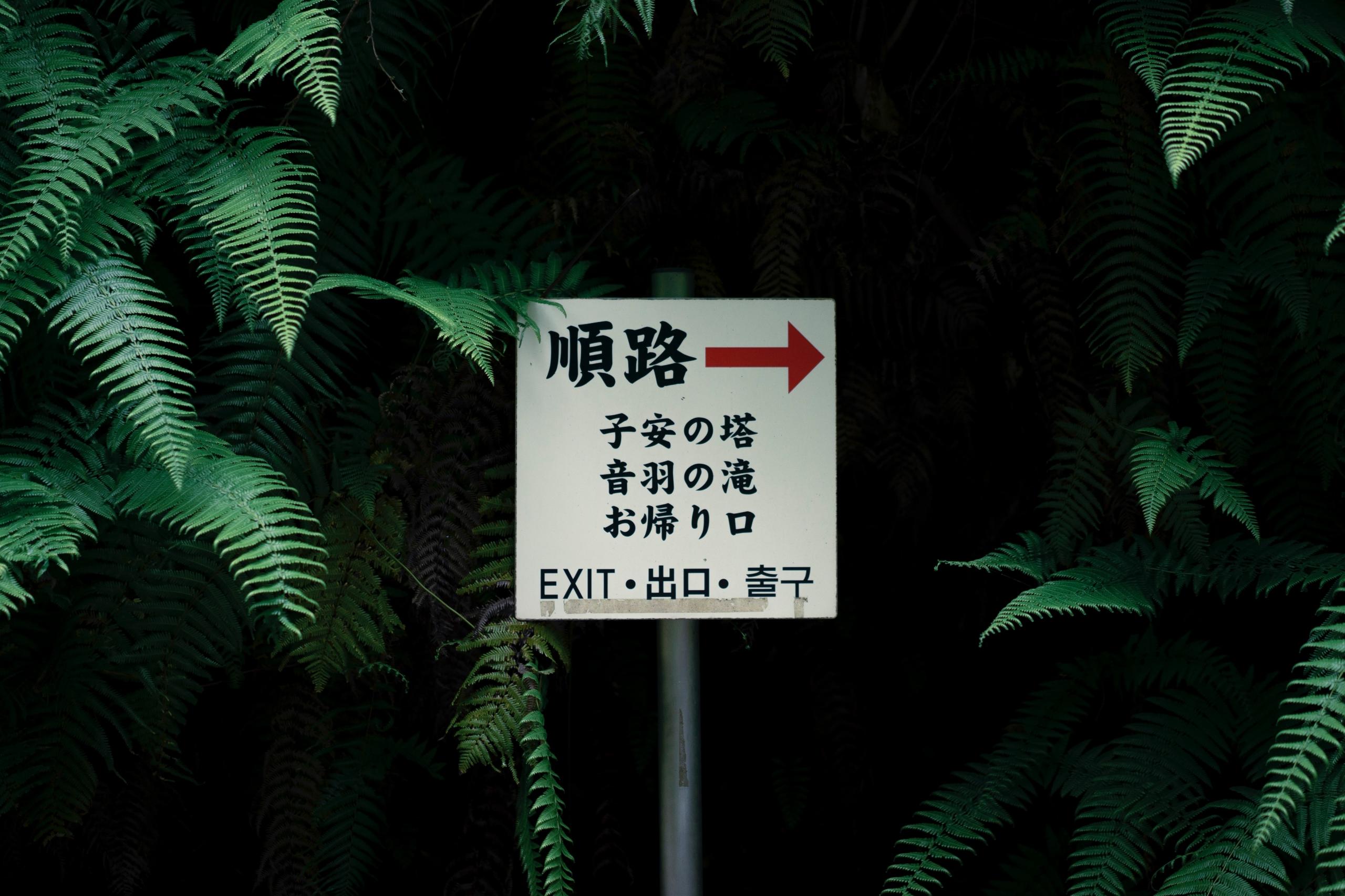writing and reading in Japanese