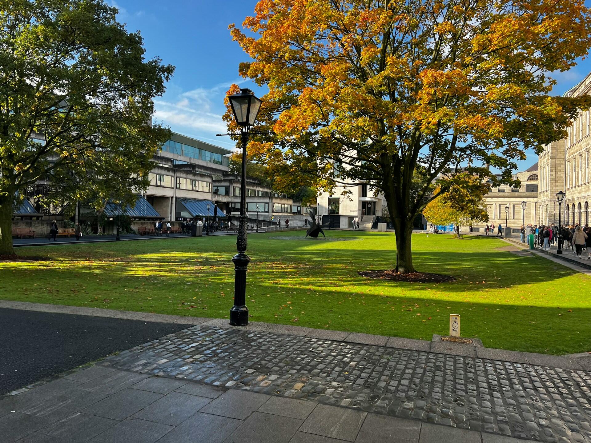 A green space surrounded with buildings on a sunny day.