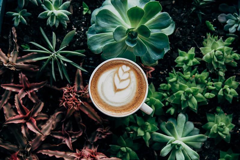 A bit of latte art changes everything about a coffee.