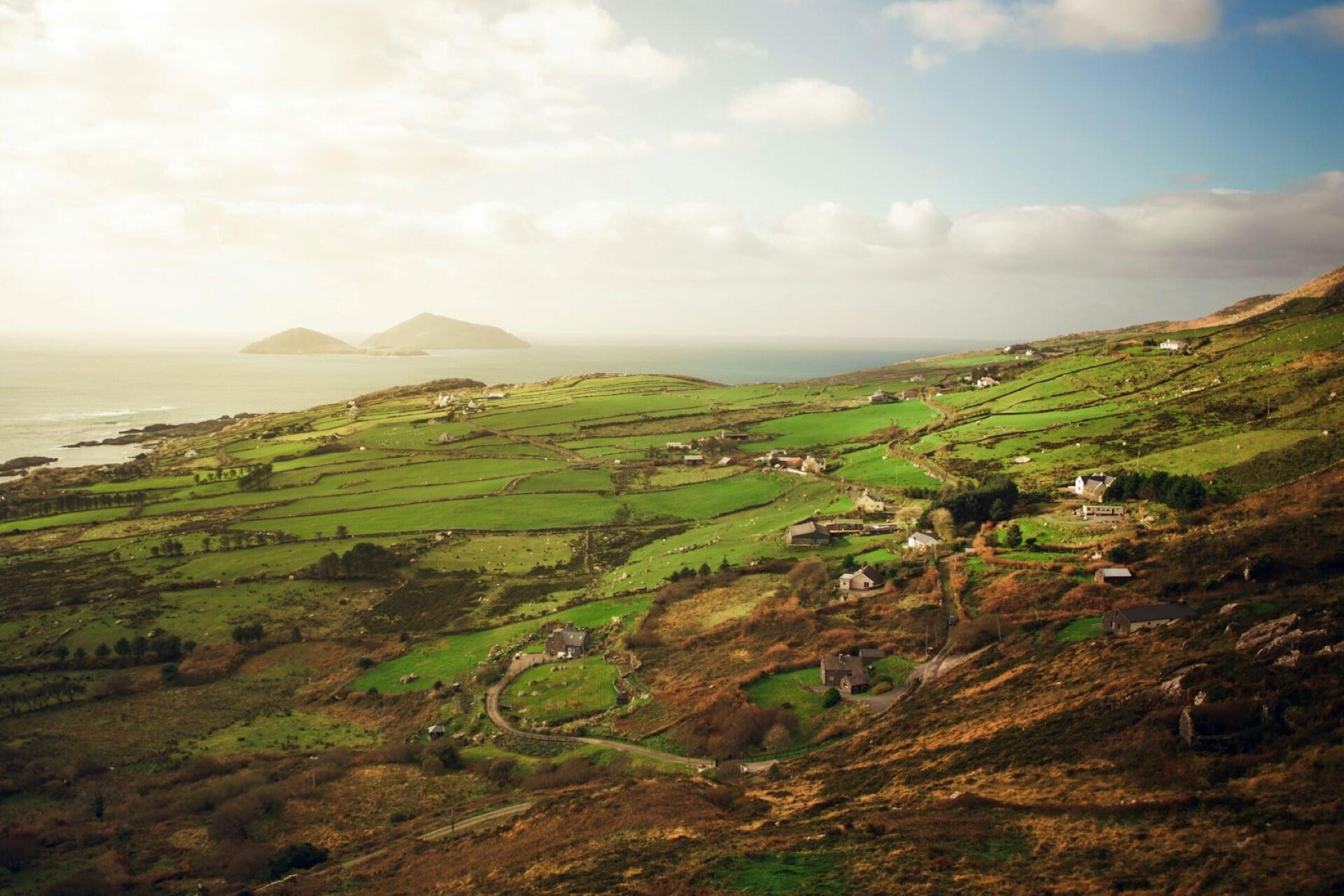 Fields in western Ireland.