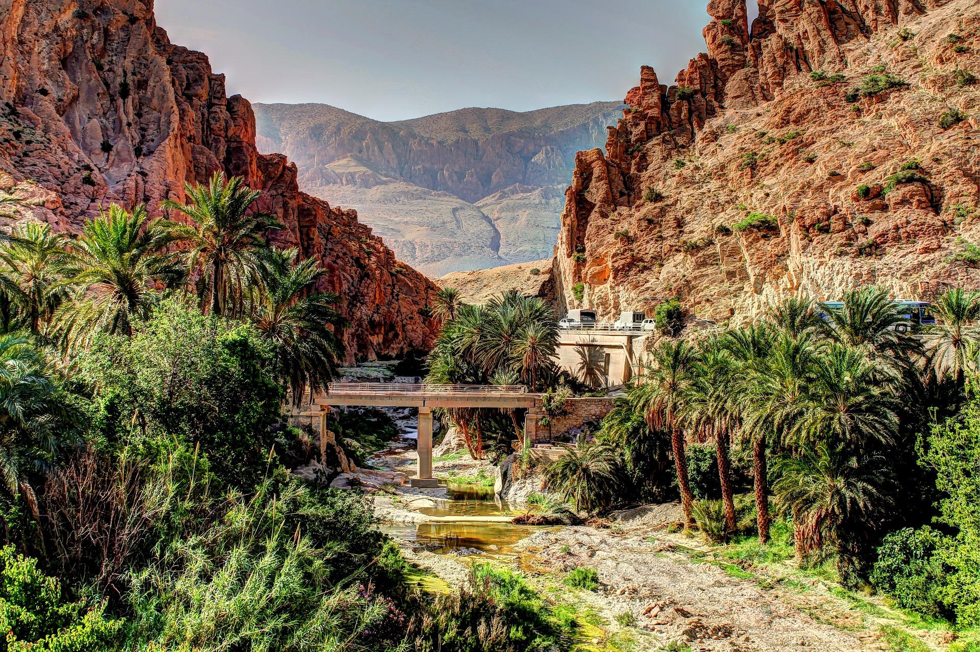Can you study Arabic at GCSE?