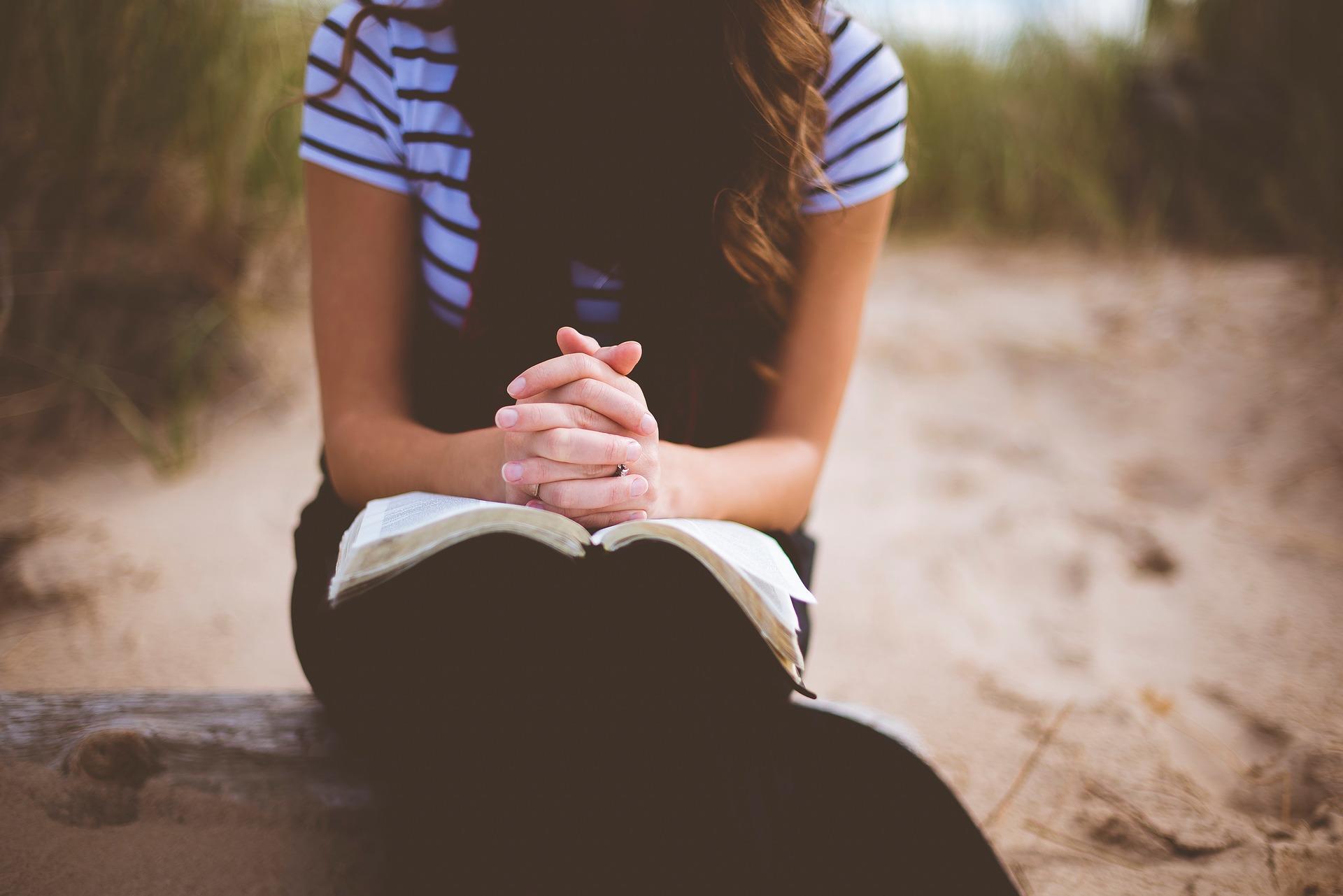 Can you study postgraduate degrees in Arabic?