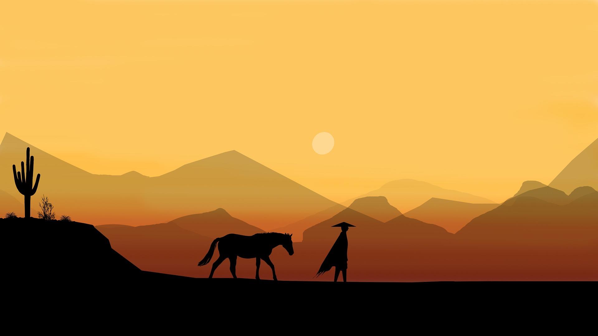How do you write a script for animations?