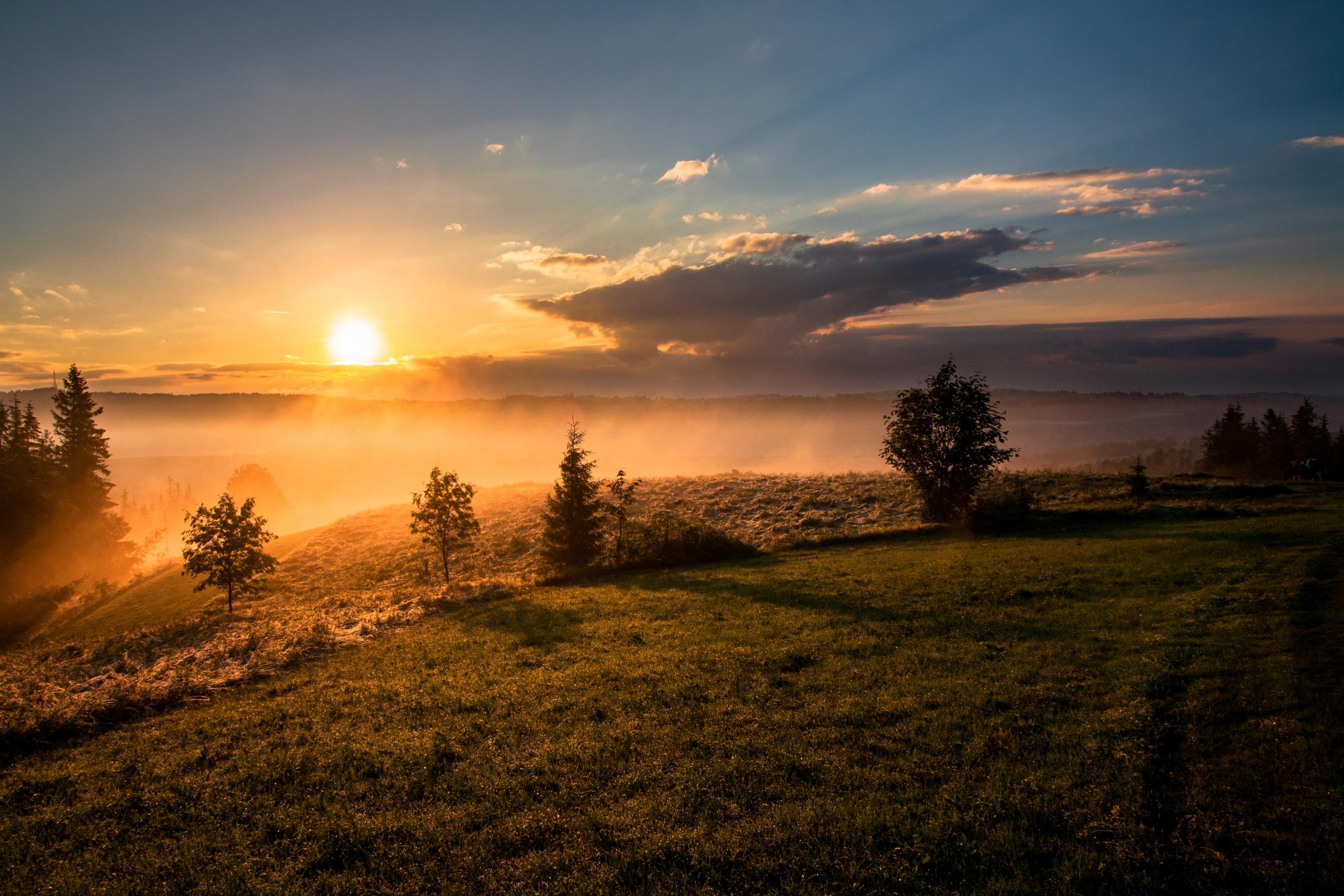 sun rising over a hill