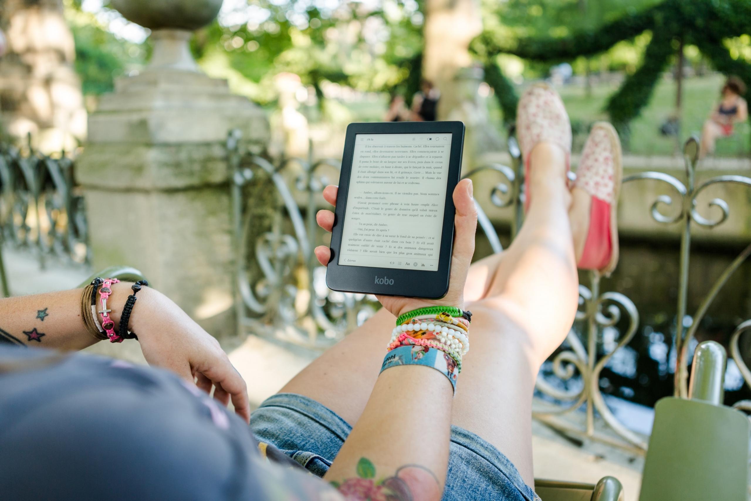 electronic novels