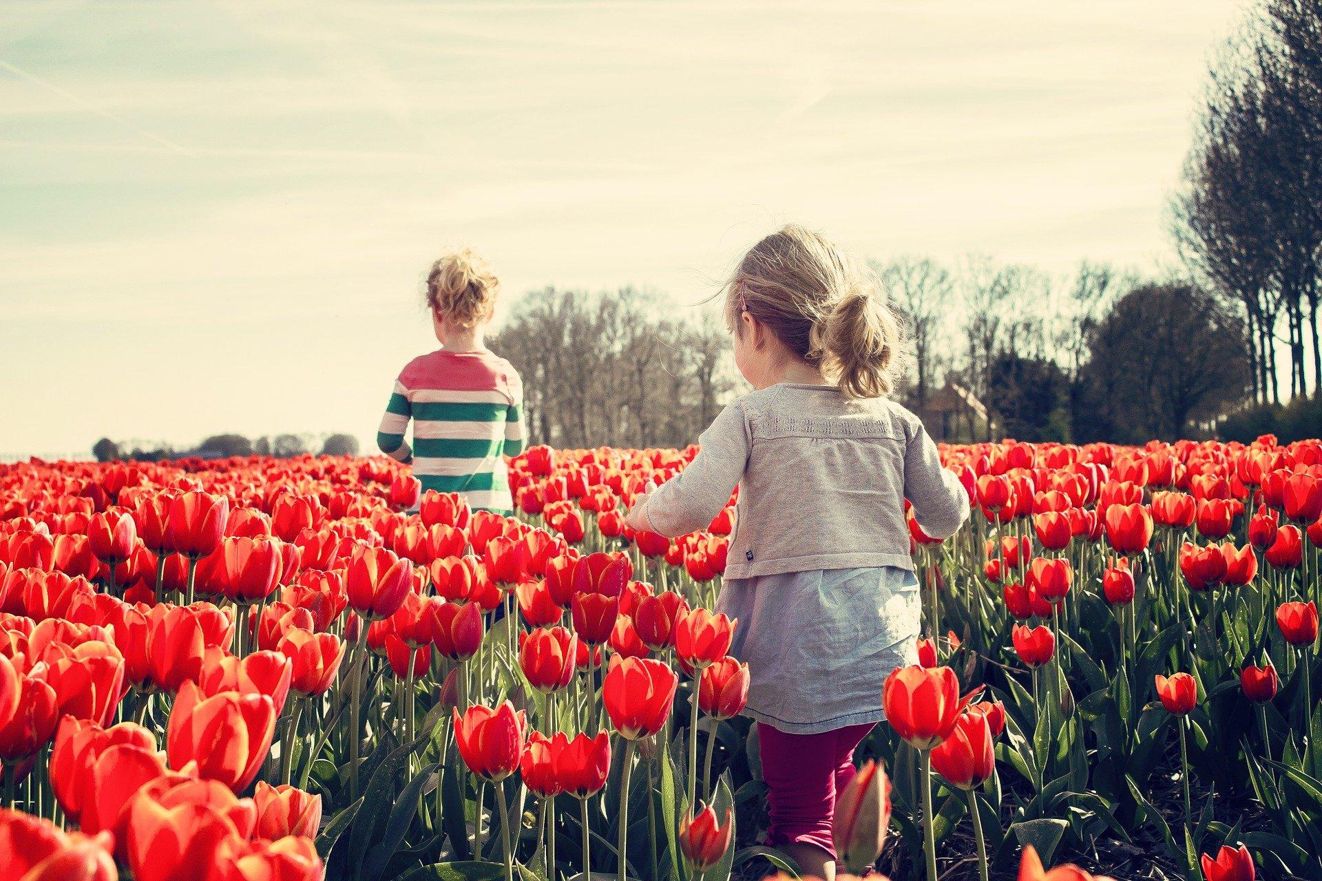 What skills do you need to homeschool?