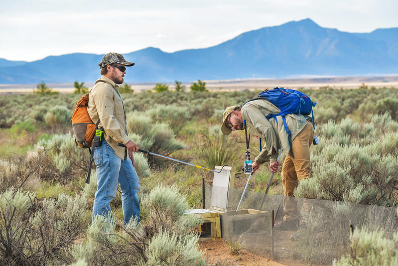 Protect fragile ecosystems as a wildlife biologist