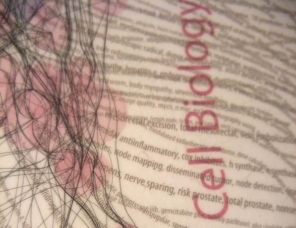 Learn all about cell biology on Bitesize