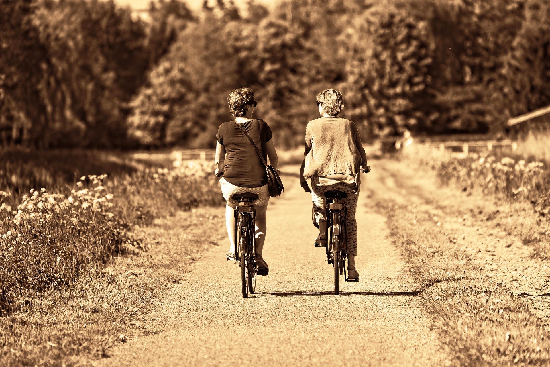 How can you exercise for free?