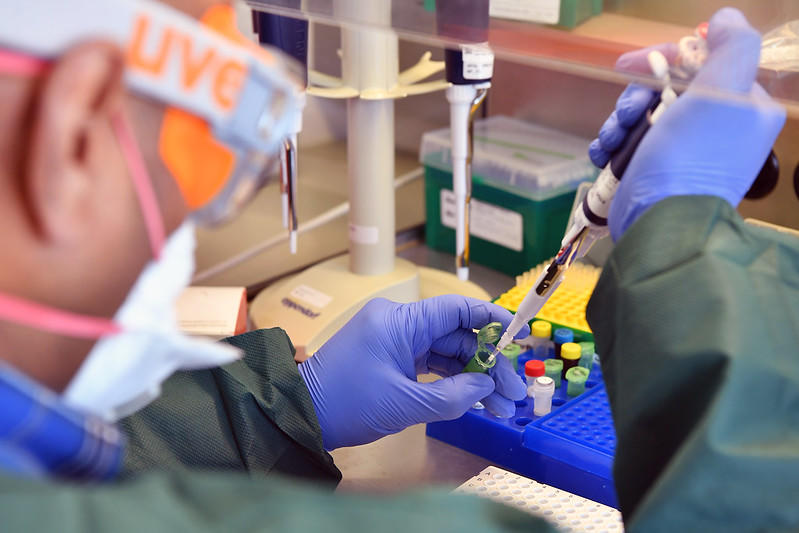 You might work as a research assistant