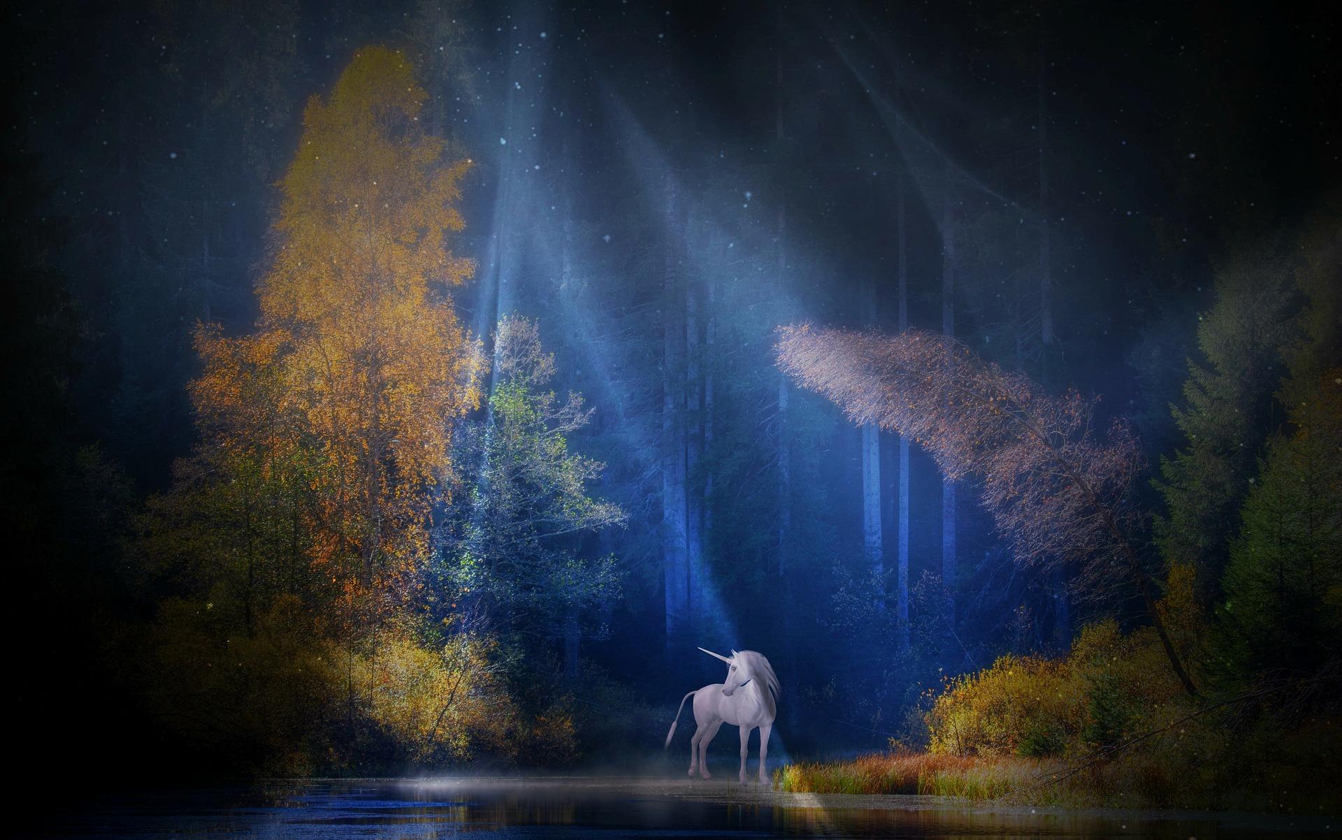Where can you learn to draw a unicorn?