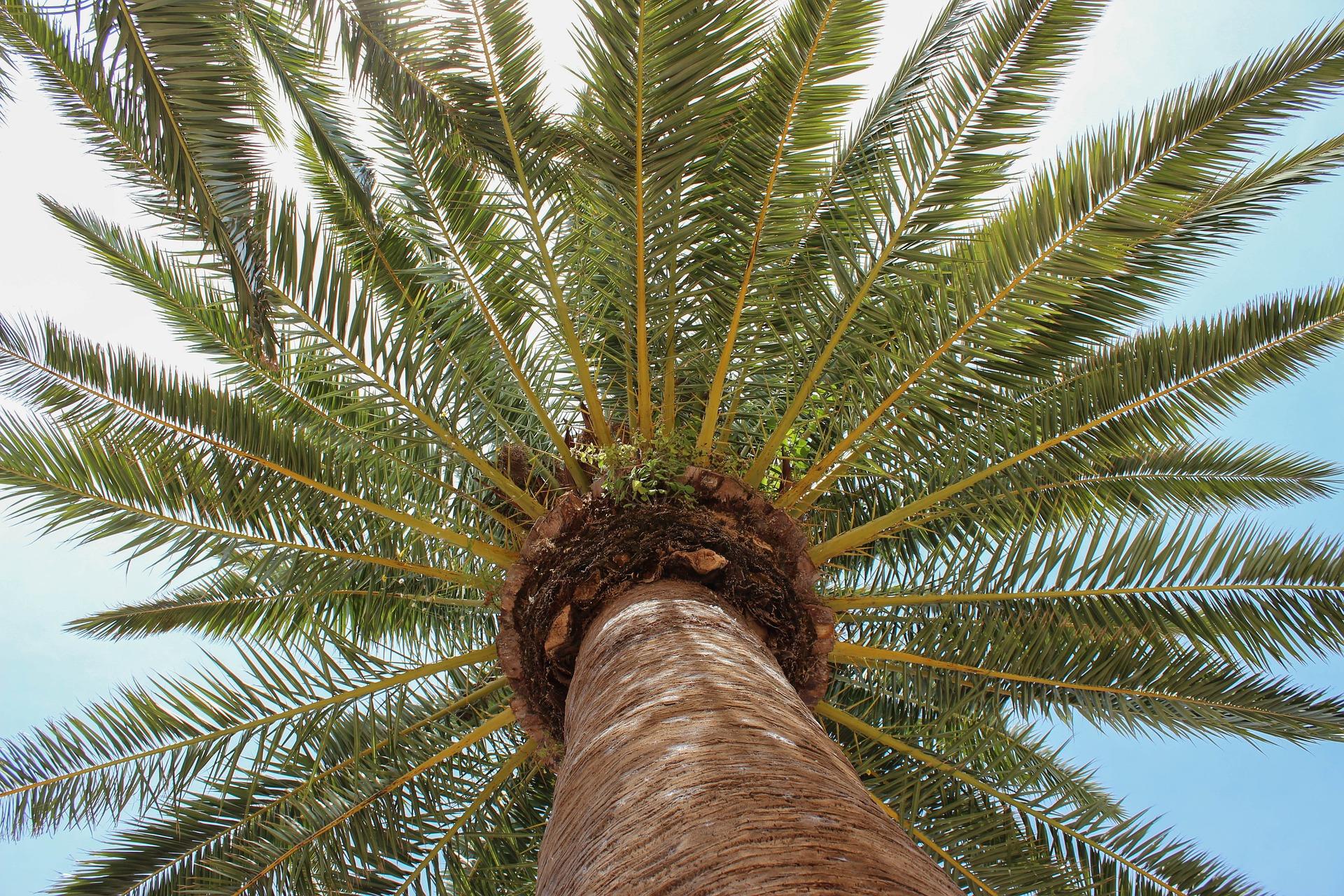 What is the nature like in Menorca?