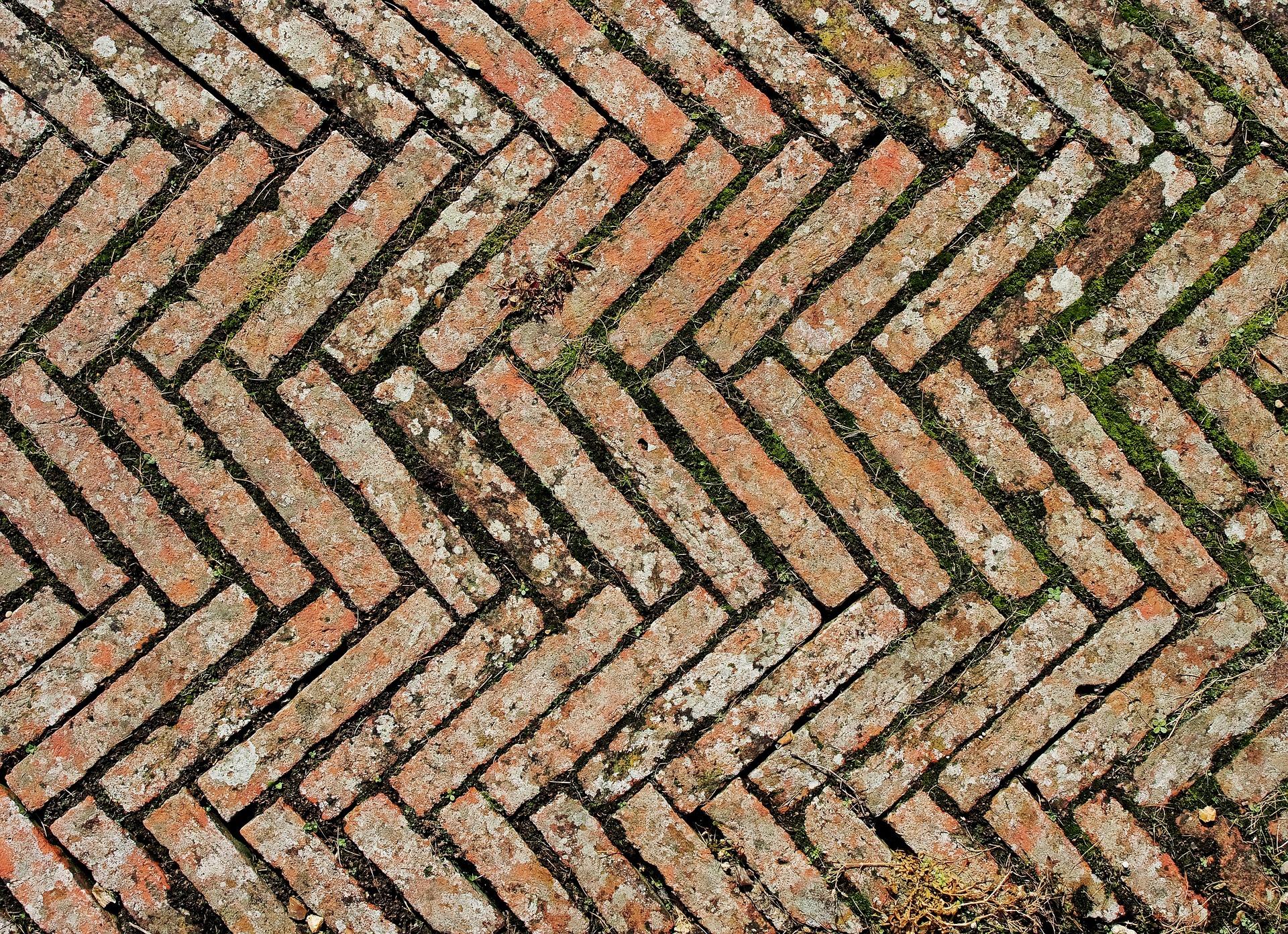 Which are the most famous examples of tessellation?