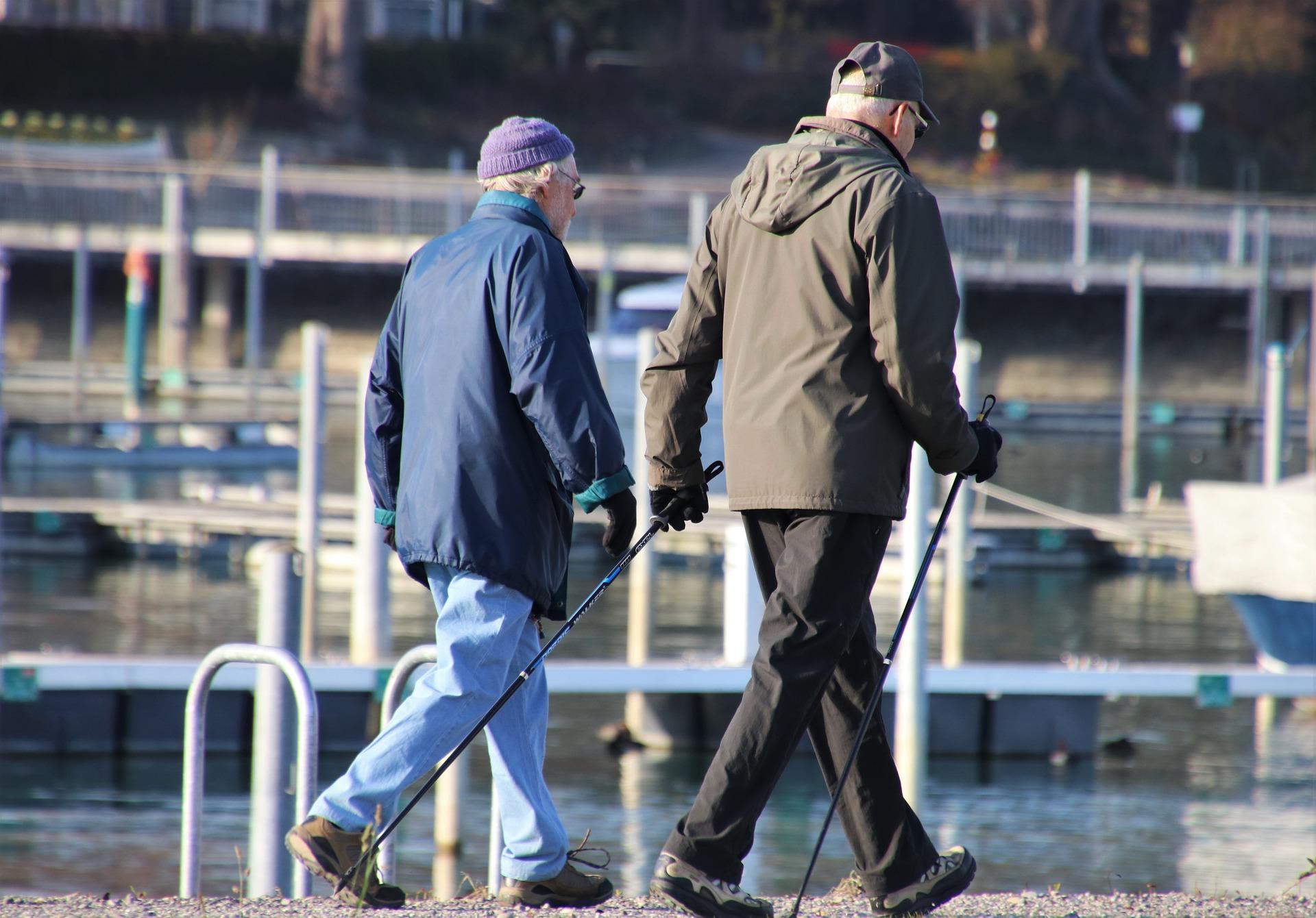 What kinds of exercises can seniors do?