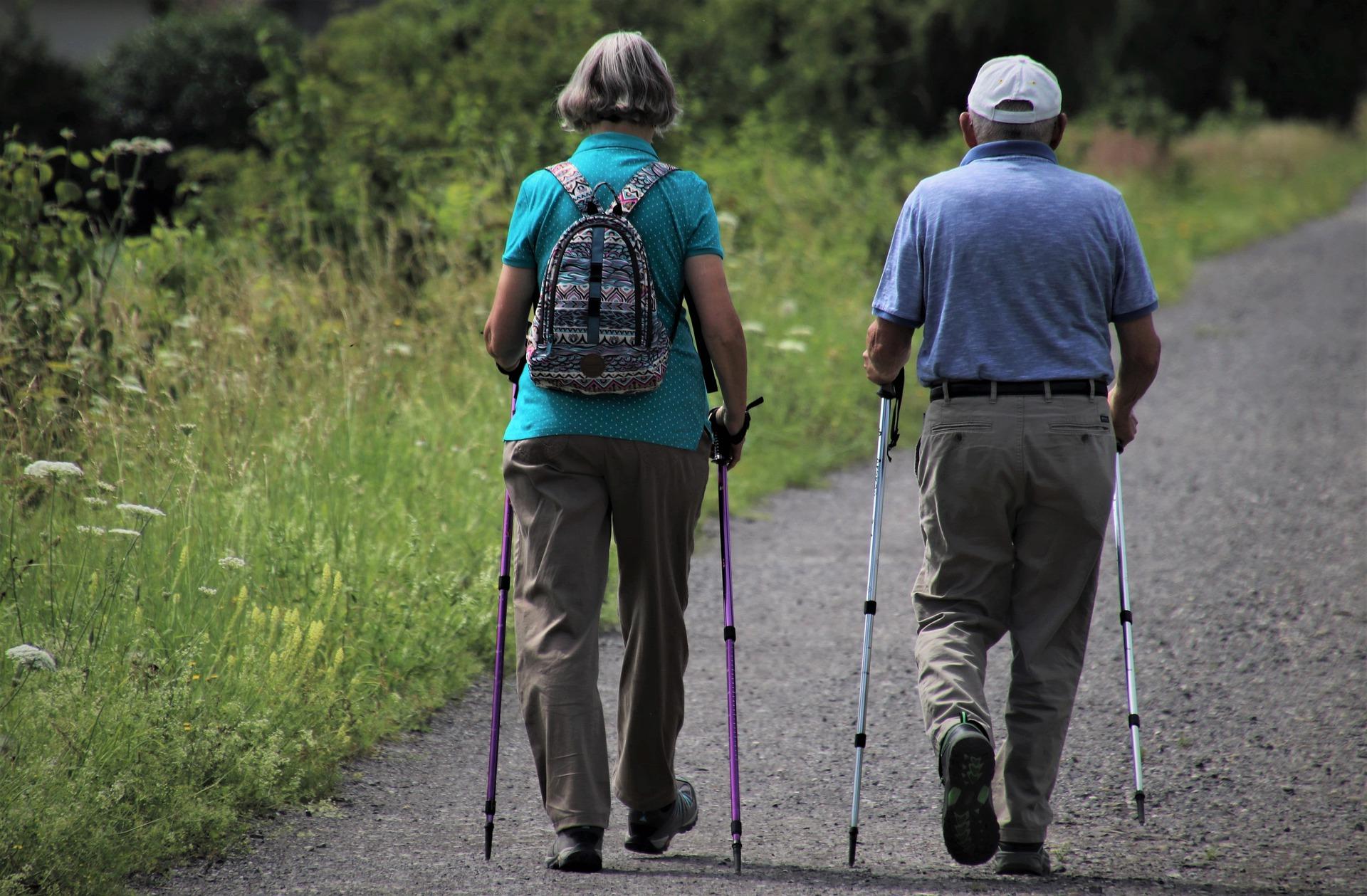 Which are the best exercises for seniors?