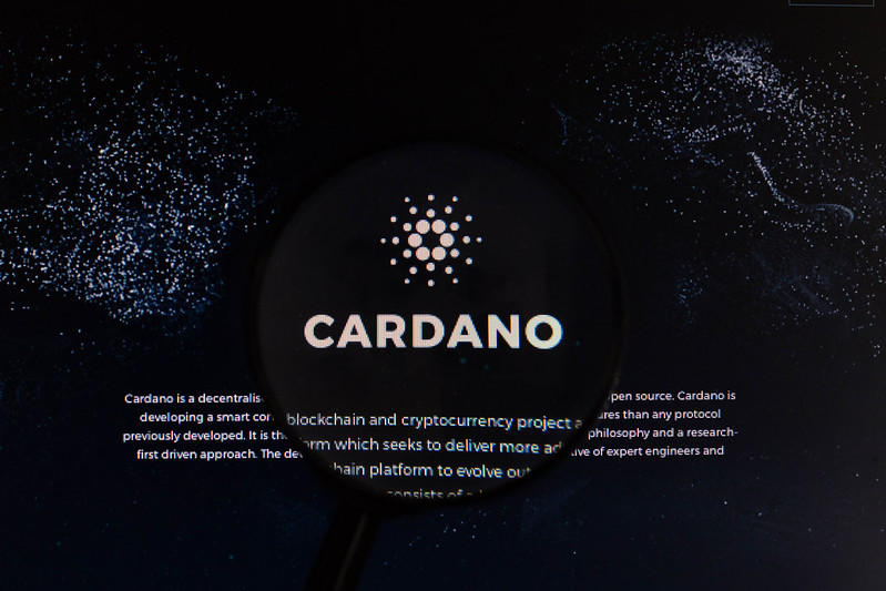 Cardano is a very flexible crypto platform