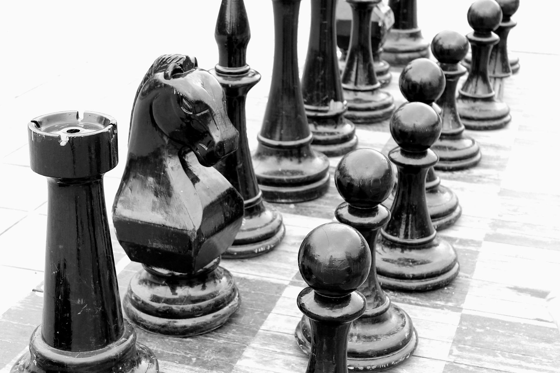 Which are the best openings for the knight in chess?
