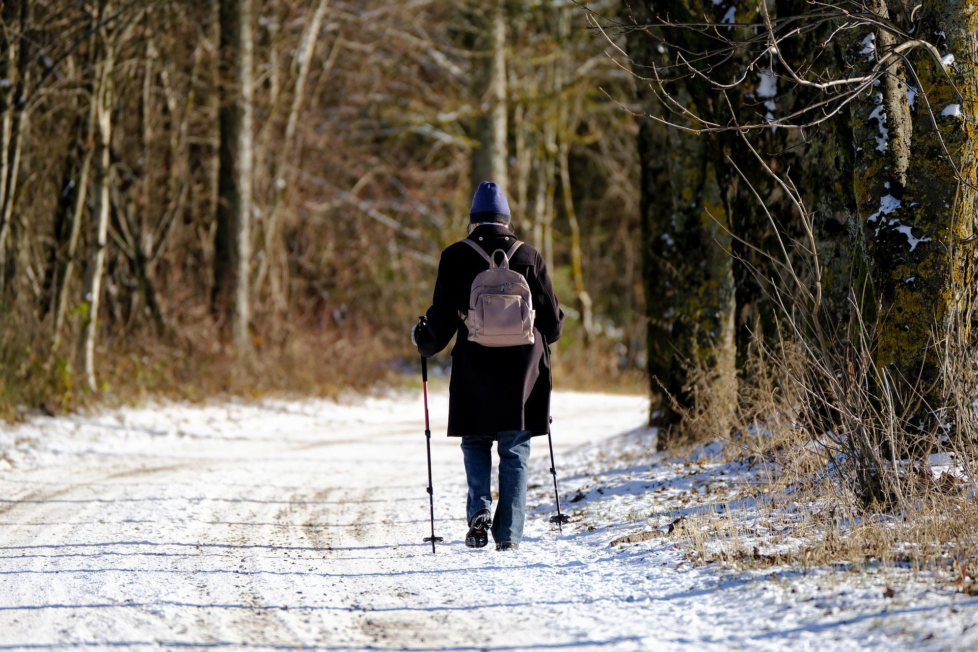 What exercises can seniors do?