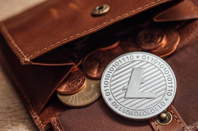 Litecoin belongs in a crypto wallet not a standard one