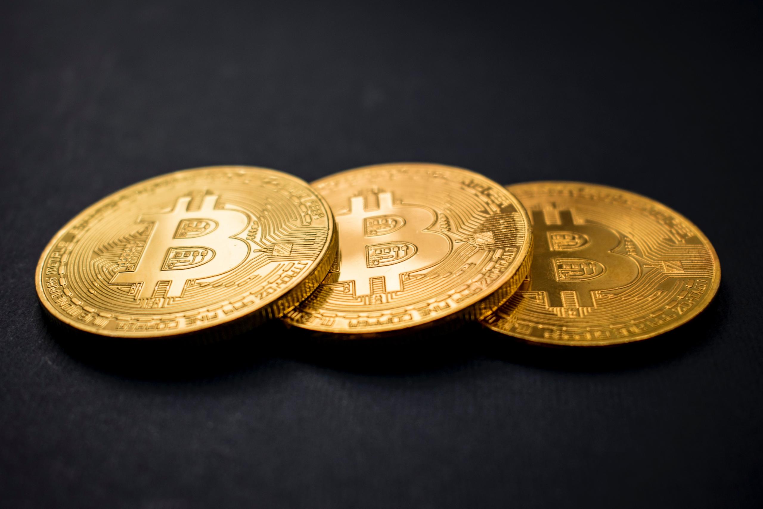 the rise of bitcoin