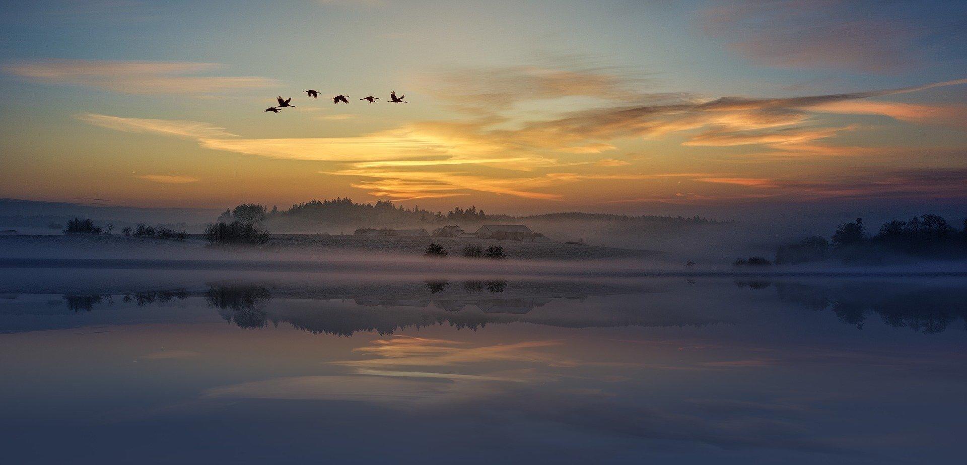 How can you imitate birdsong?
