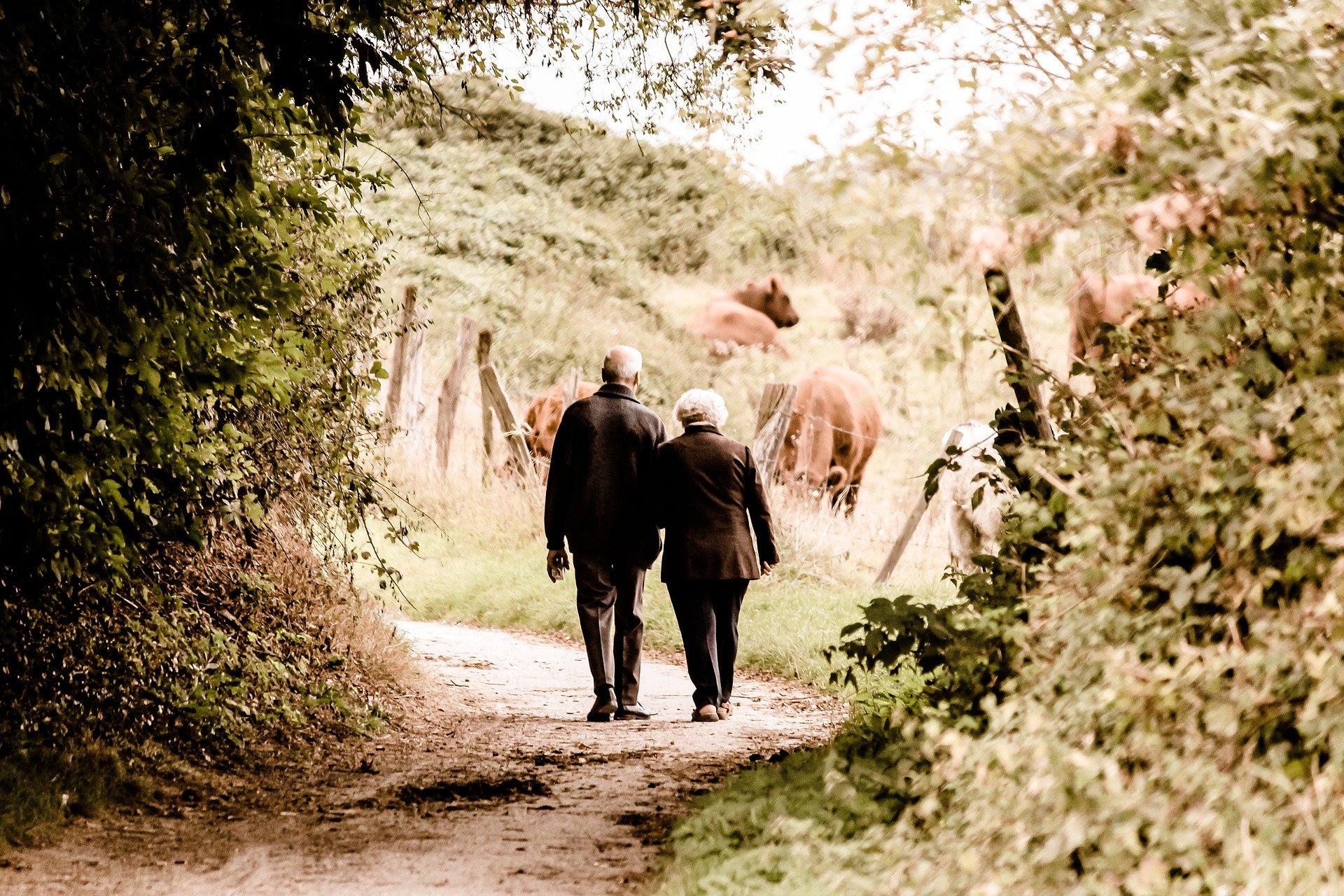 What kinds of dancing can seniors do?