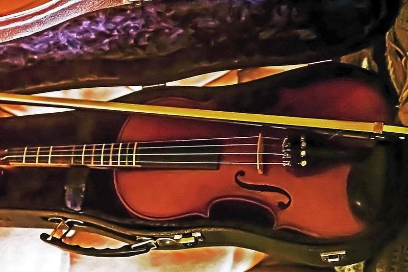Violin cases are lined in velour and hold the instrument snugly