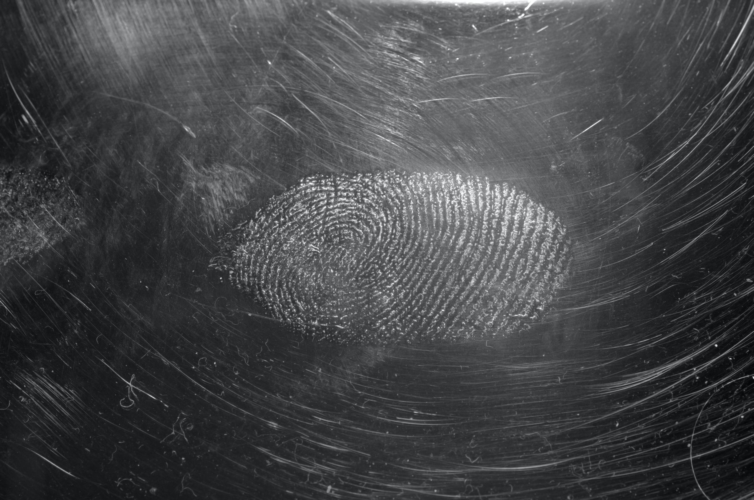 finger prints