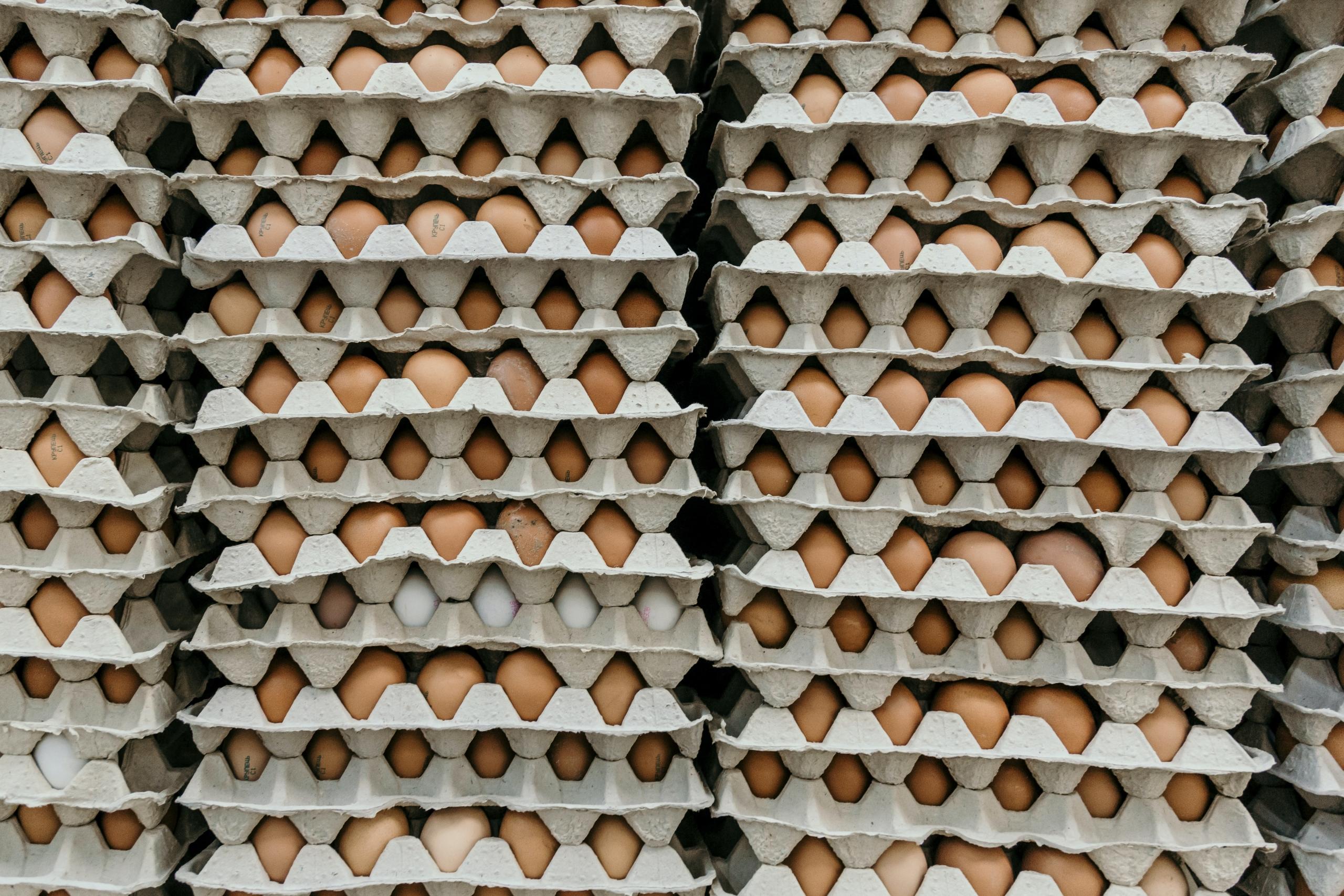 egg cartons