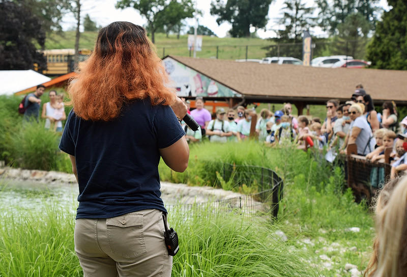 Informal settings allow for a bit of slang as long as it's not offensive