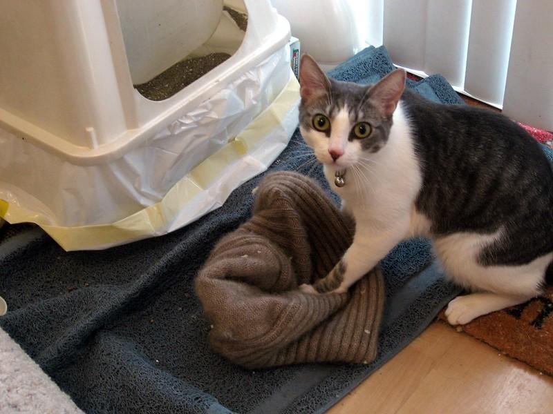 Word stress can completely change the meaning of a sentence