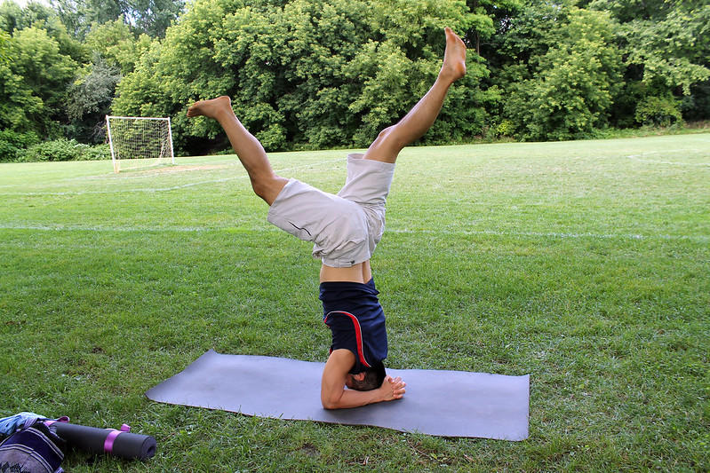 Inverted postures were included in ancient Vedic texts but not standing poses
