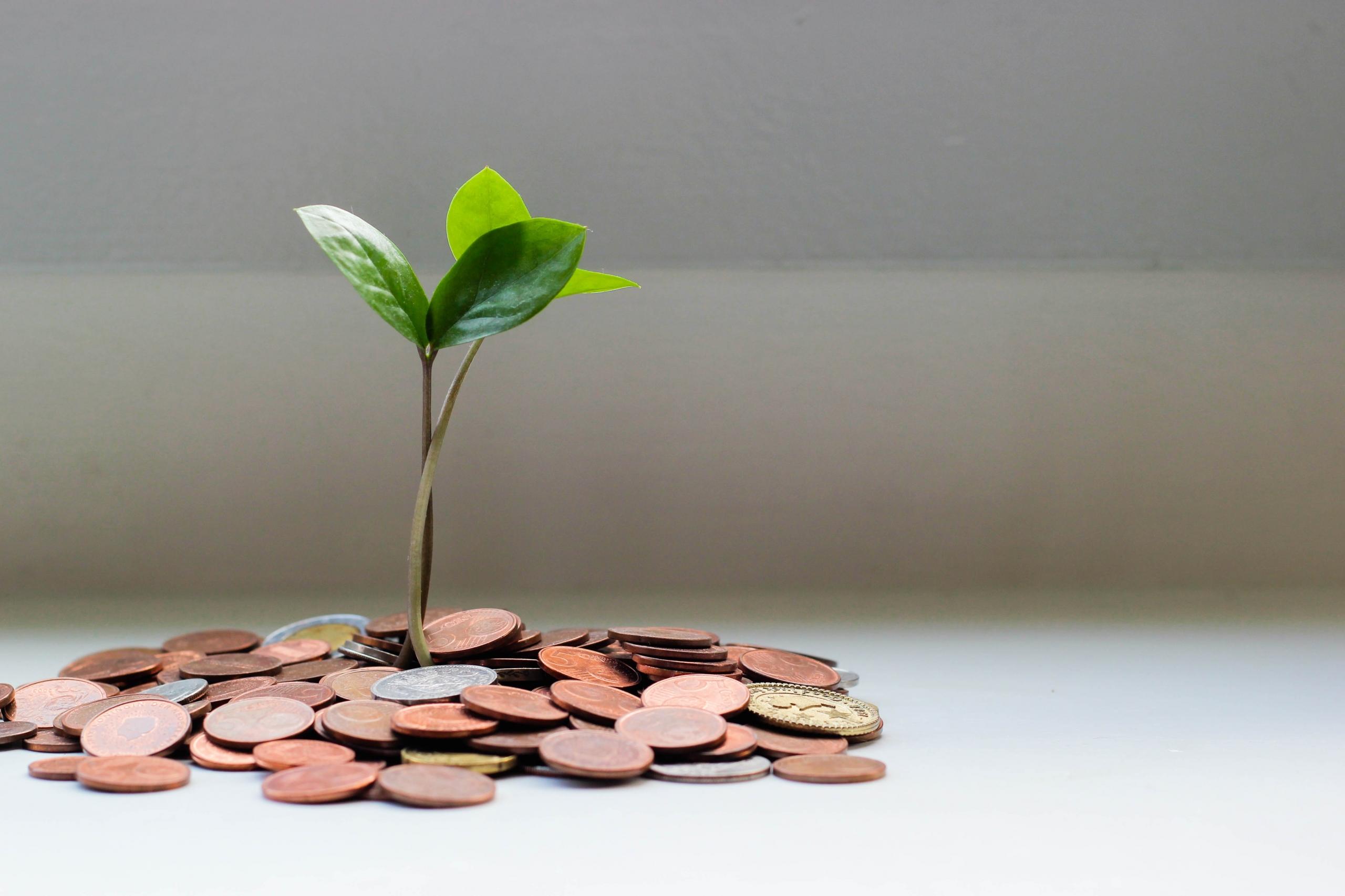 paying for private tuition