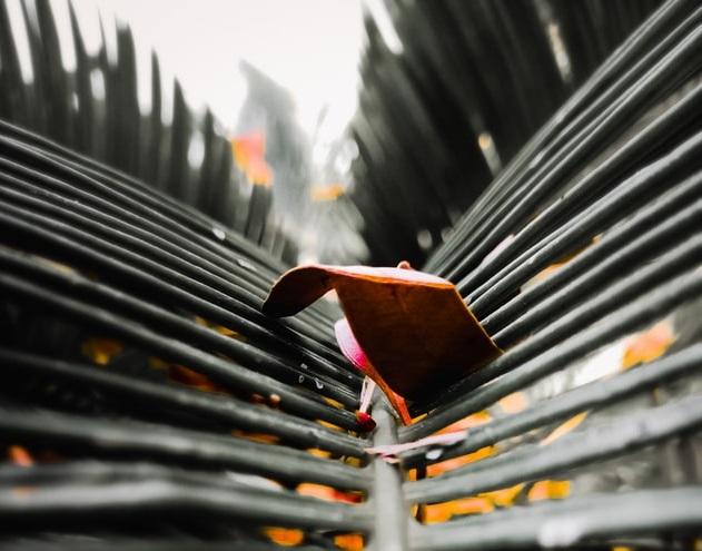 It's not difficult to learn how to created generated art