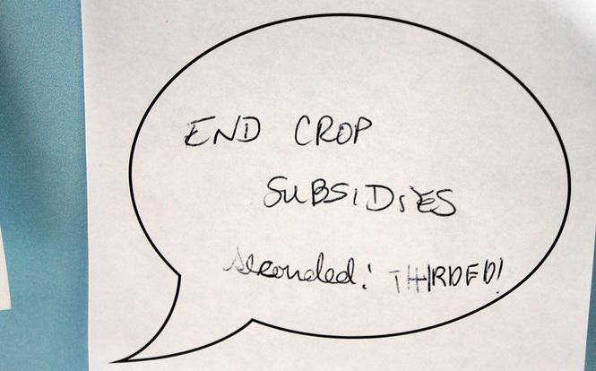 People who don't understand subsidies believe they are all perverse