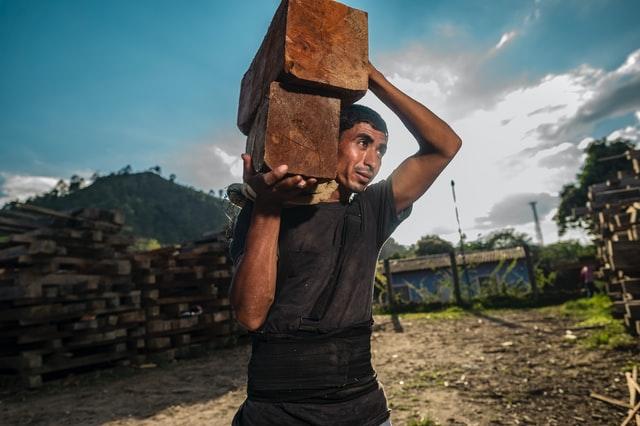 Economic migrants want to contribute to their new home country