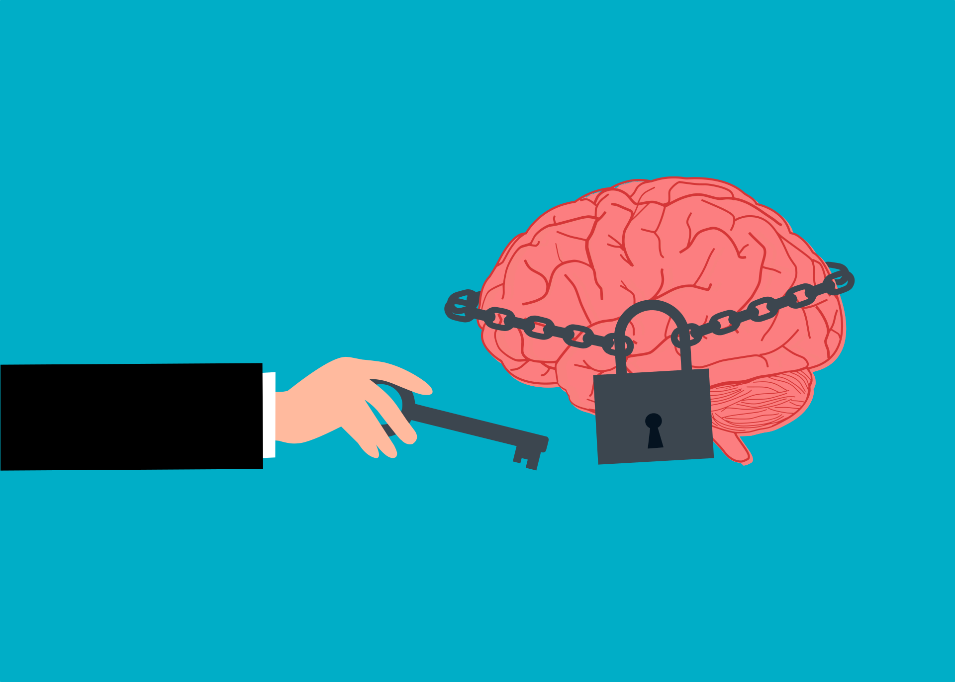 looking at the brain