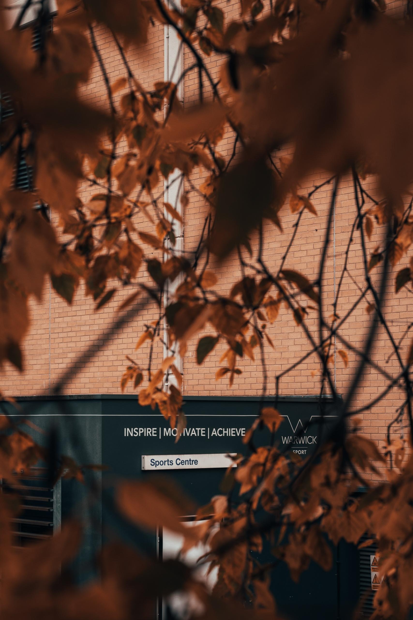 A brick building seen through autumn leaves.