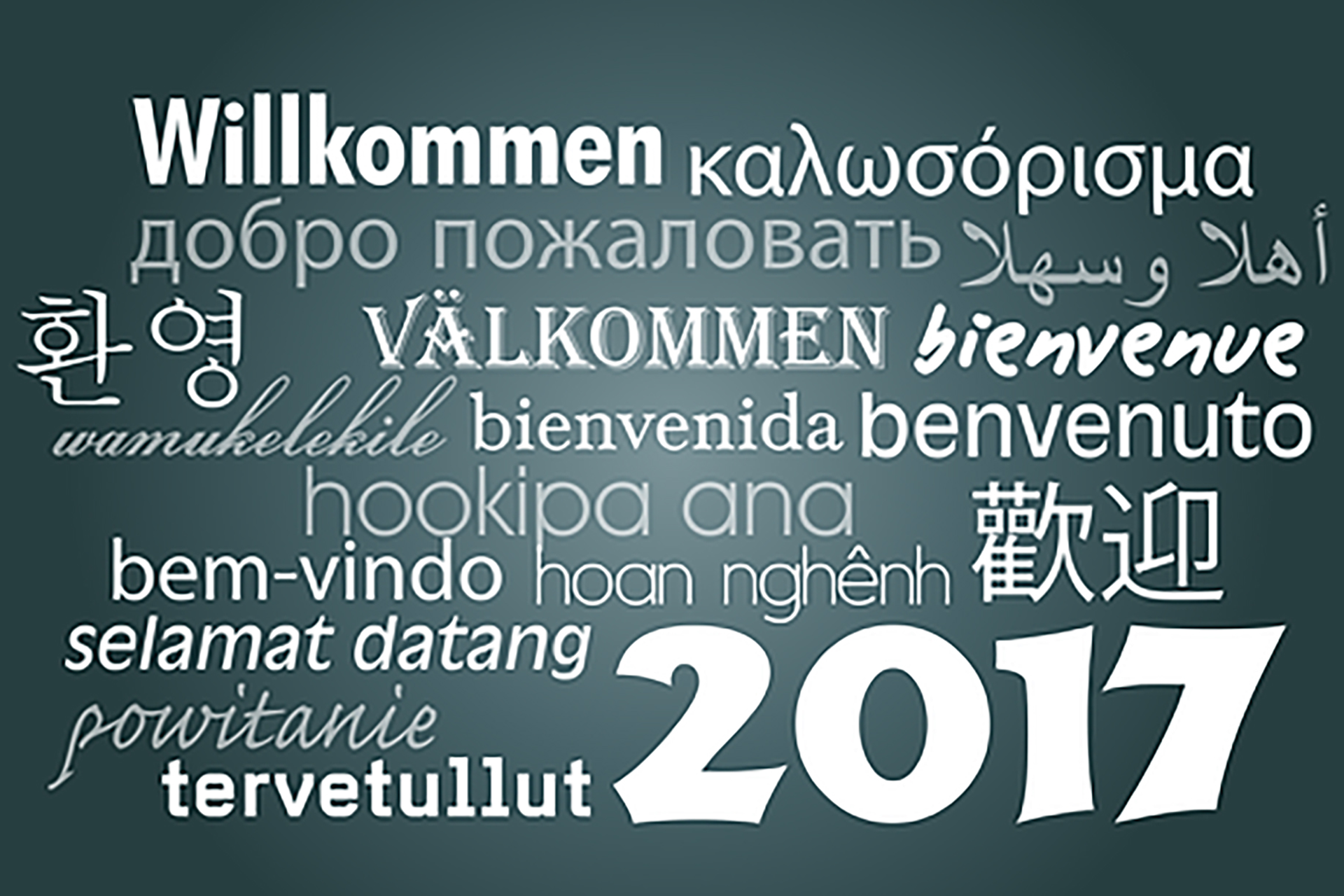 A display of texts from different languages