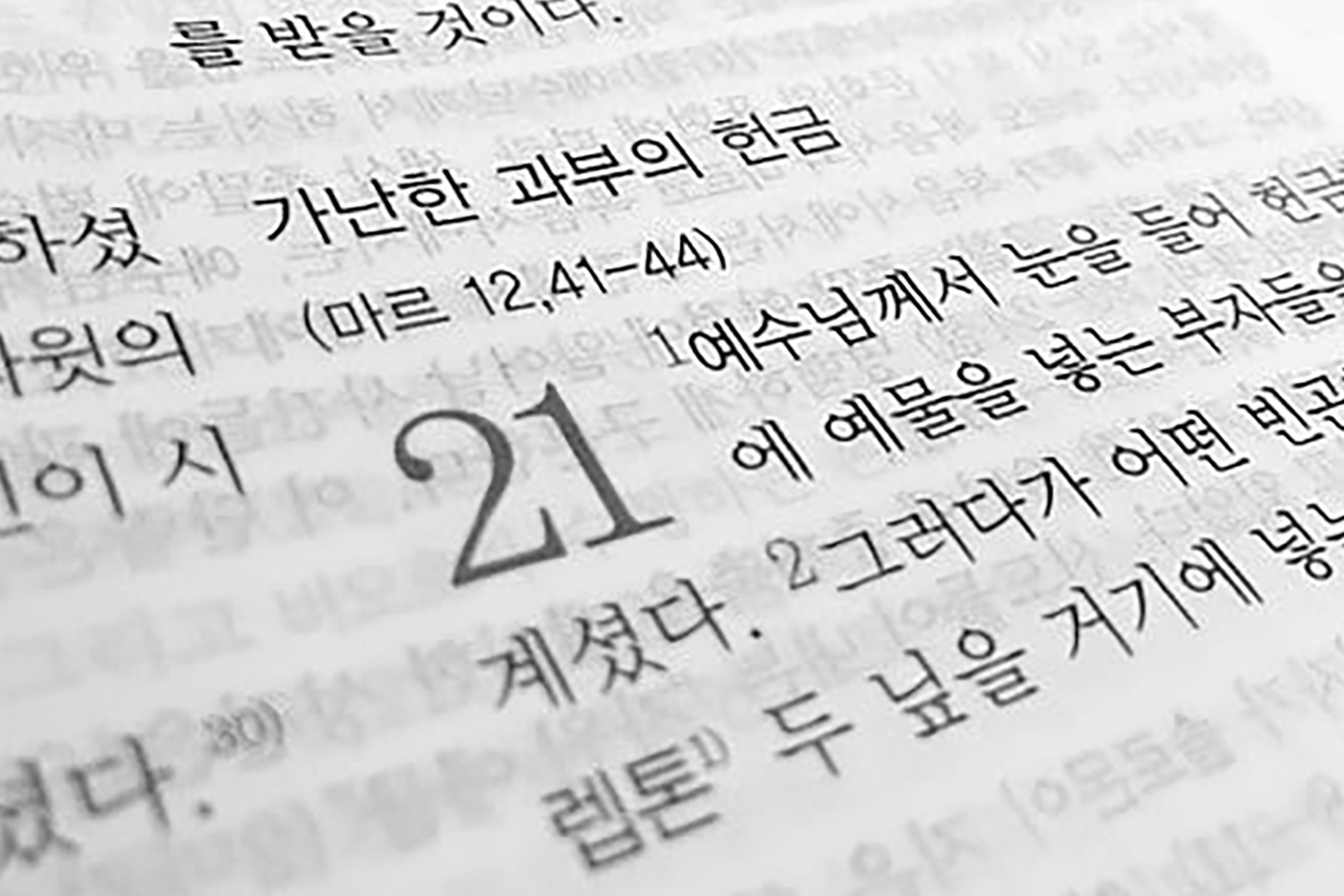 Korean text is visible from a book