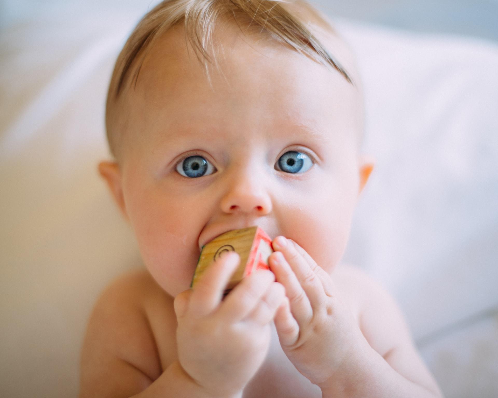 A sandy-haired, blued-eyed baby holding a toy in their mouth with both hands.