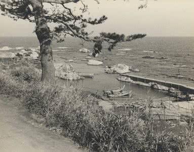 GCSE poem analysis: Kamikaze by Beatrice Garland