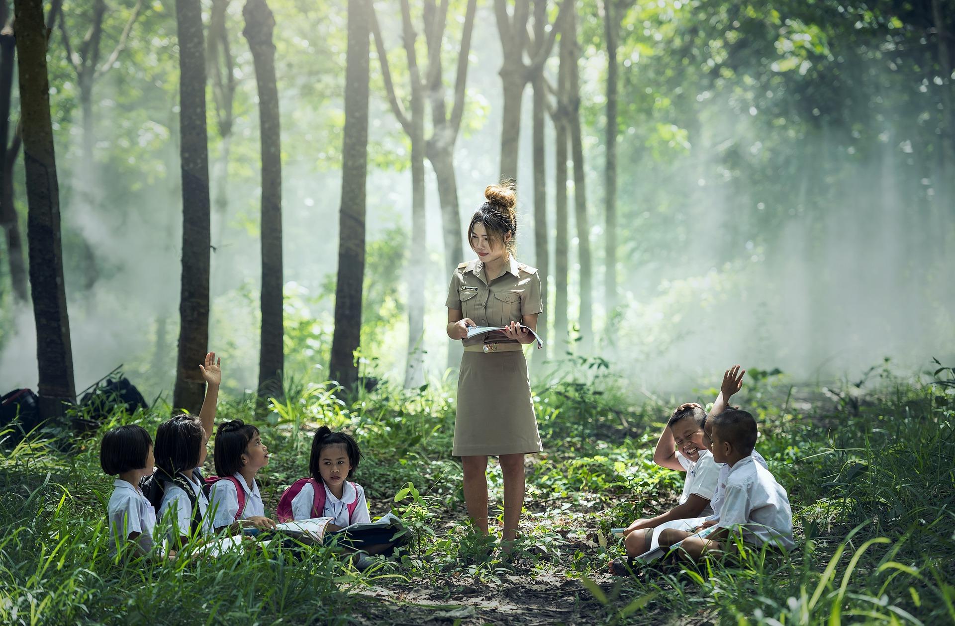 forest students teachers school teaching