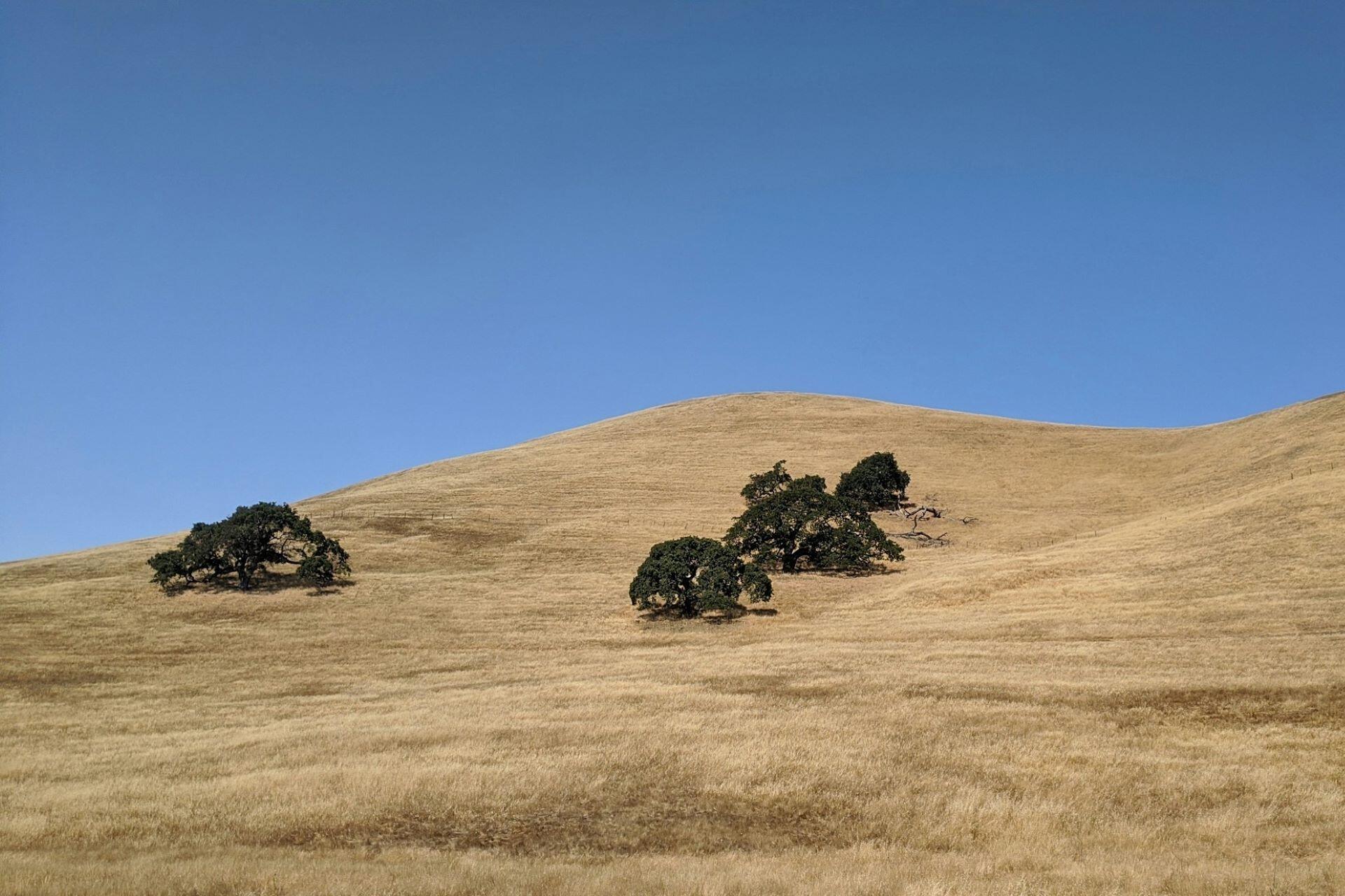Fields in California.