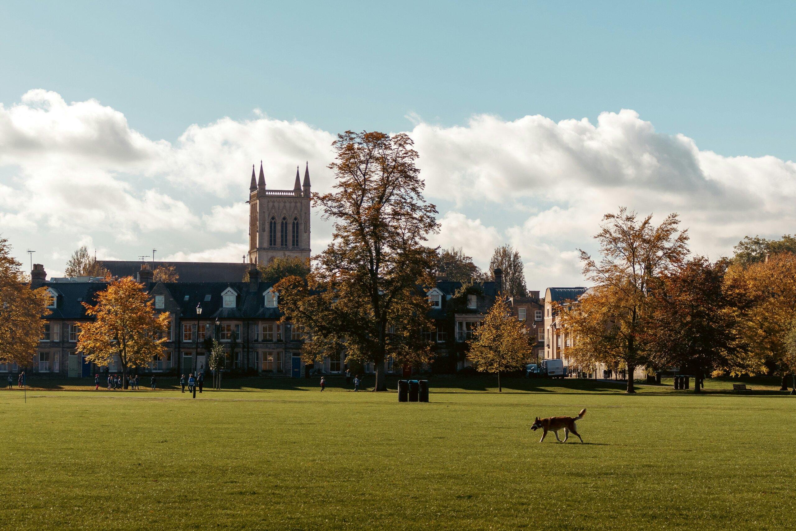 The historic grounds of Cambridge university during the day