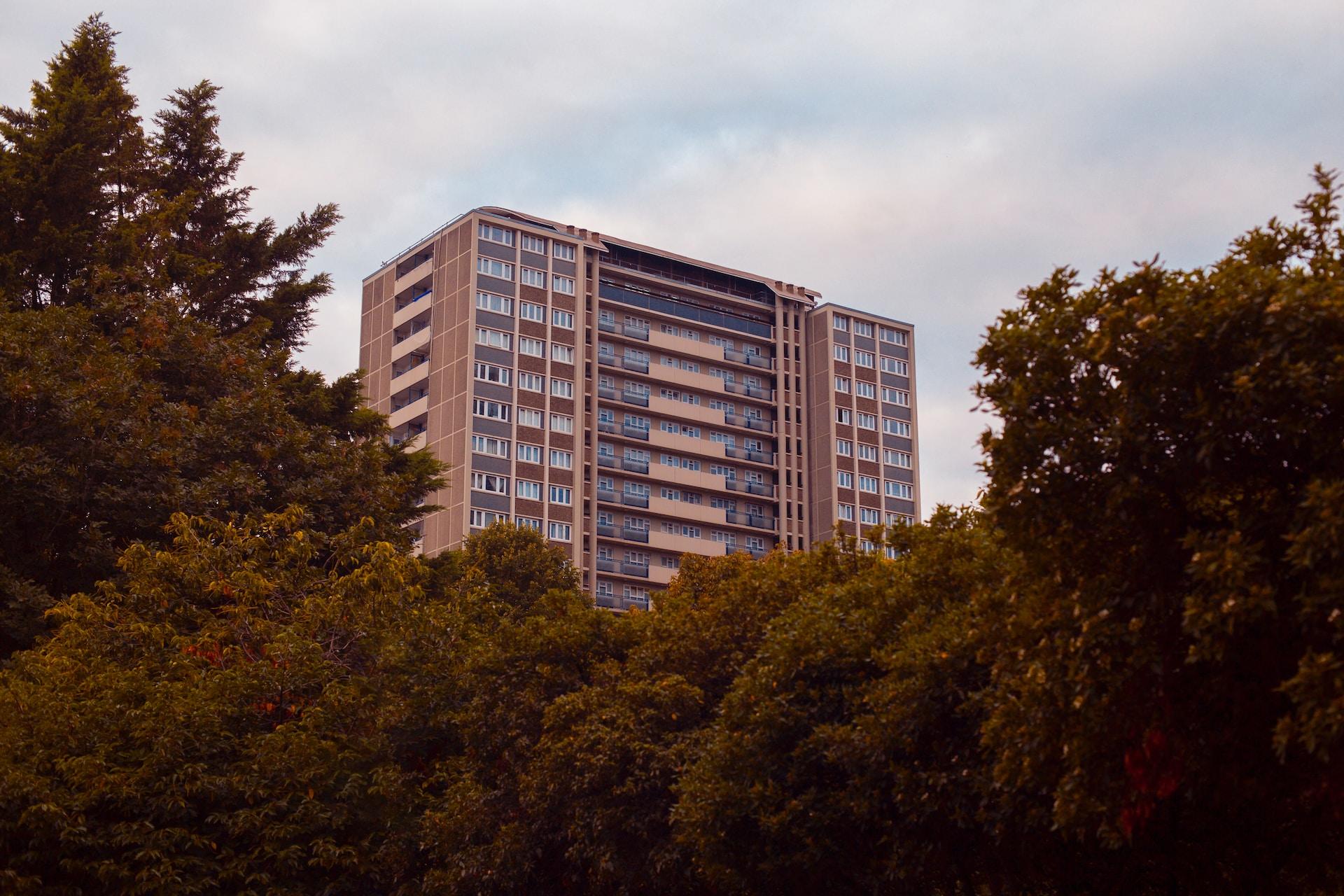 A block of council flats in London with a brownish red facade and lots of windows, tucked behind a stand of mature trees.