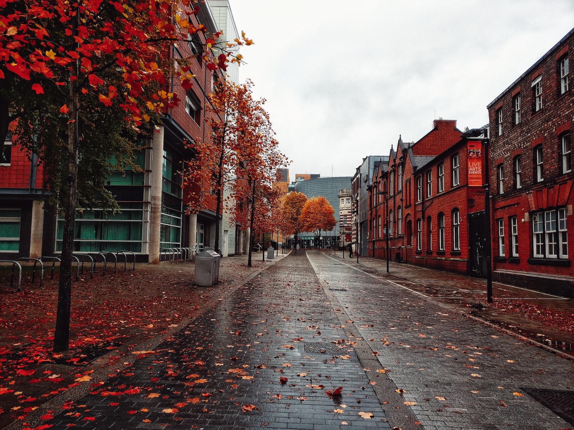 University of Manchester, UK.