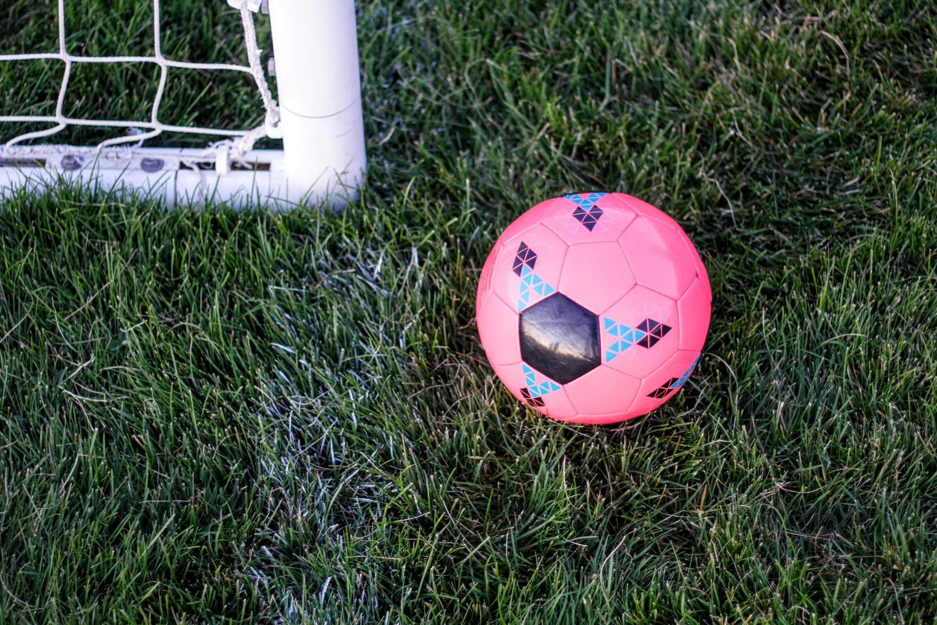 A pink soccer ball by a goal.