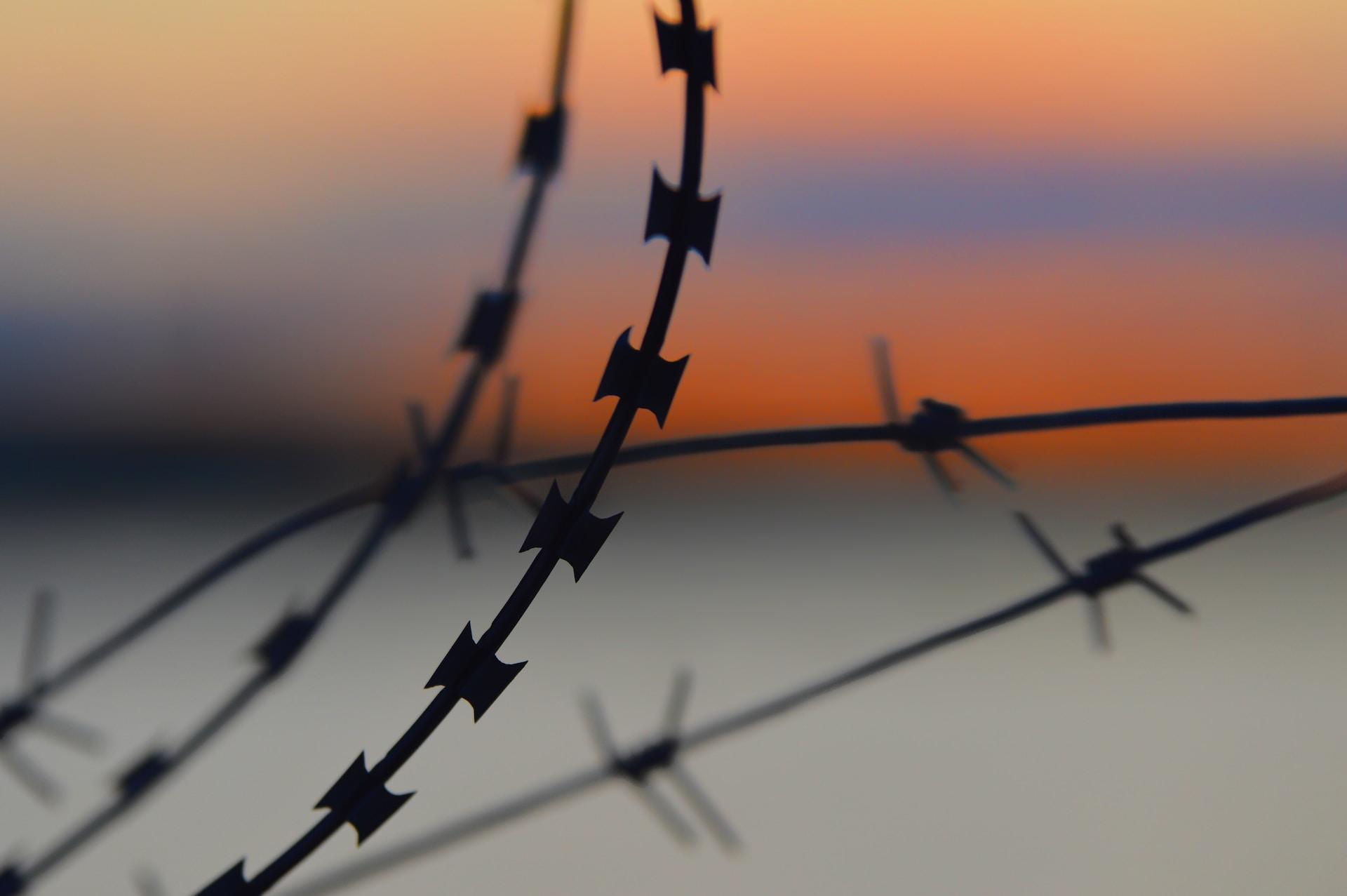 A double strand of razor wire still in its coiled shape with a double strand of barbed wire in the background, seen against an orange and purple sky.