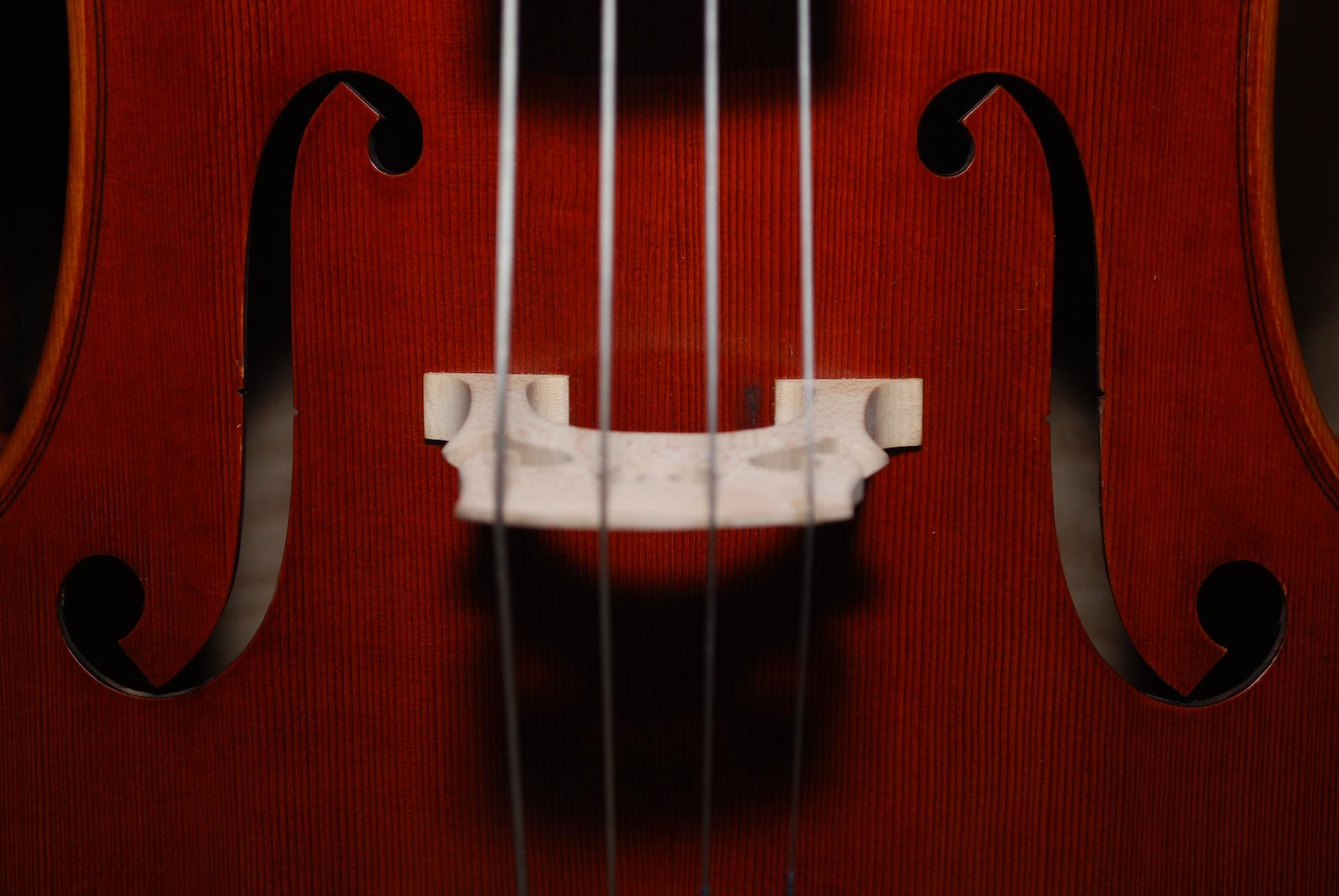 A closeup of a violin's F-holes, the strings, and the bridge.